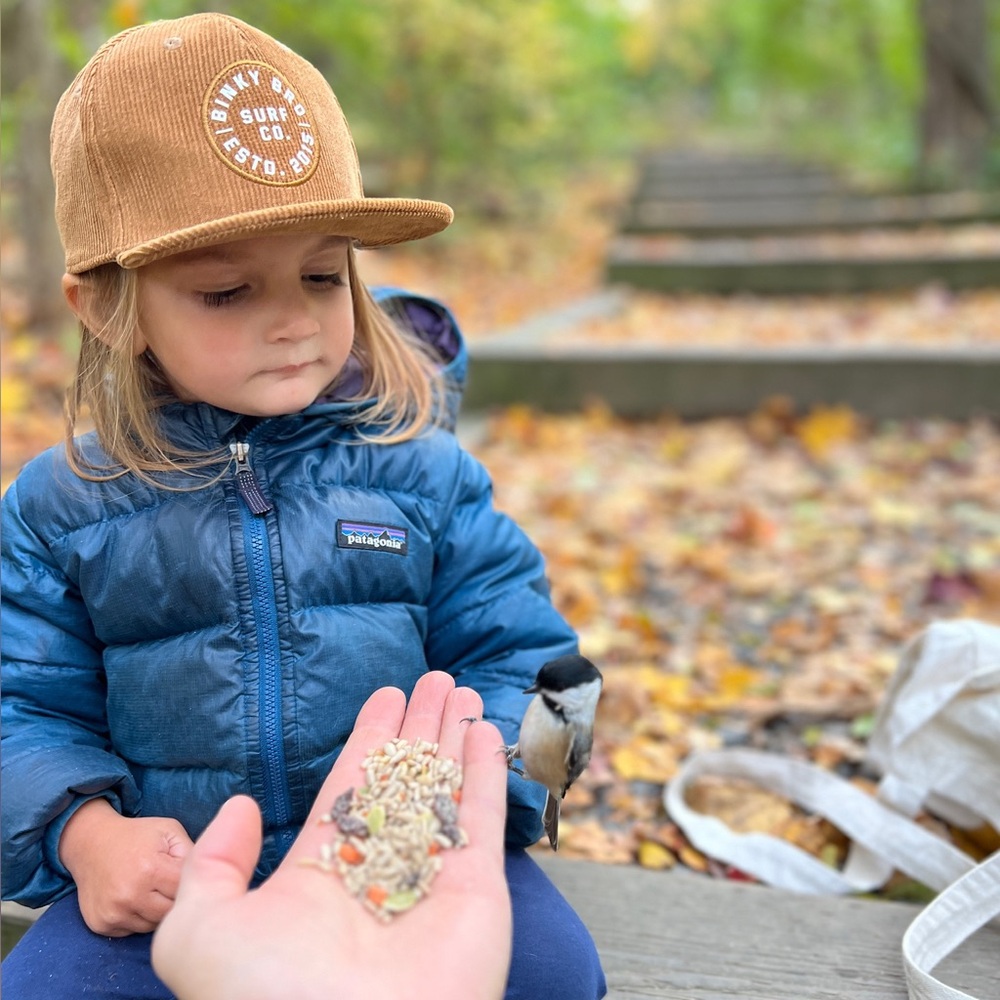 Meet your Posher, Jordan